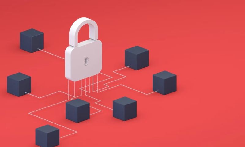 软件开发